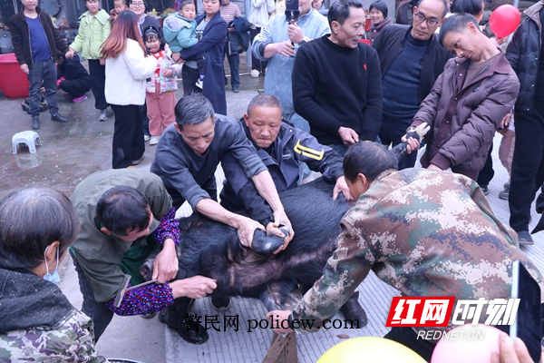 微信图片_20260205162841_11_217.jpg 微信图片_20260205162841_11_217.jpg